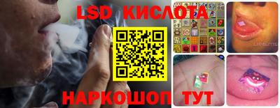 spice Заводоуковск