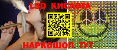 spice Заводоуковск