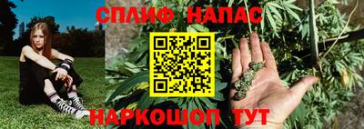 МДПВ Жуковский