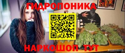 Альфа ПВП Заволжье