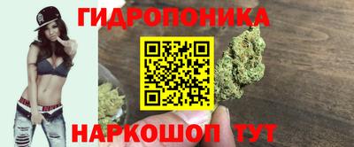 spice Заводоуковск