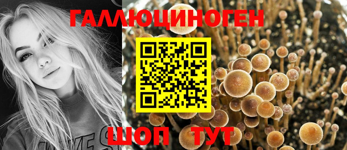 Михайловка  Псилоцибиновые грибы прущие грибы  закладки  Галлюциногенные грибы прущие грибы  Вход с VPN 