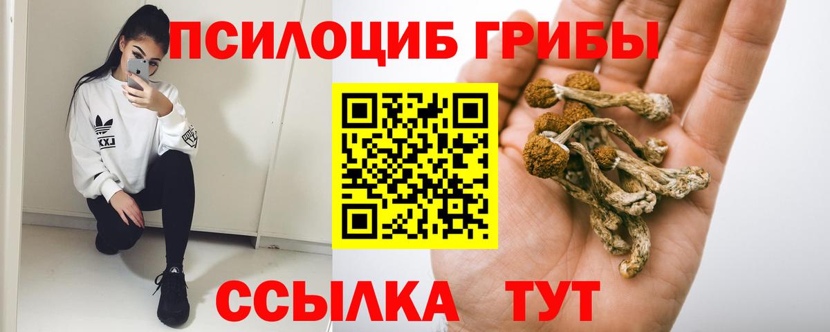 Псилоцибиновые грибы Psilocybine cubensis Михайловка